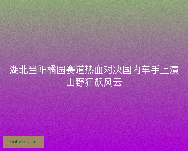 湖北当阳橘园赛道热血对决国内车手上演山野狂飙风云