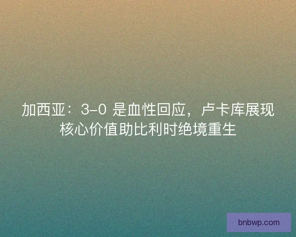 加西亚：3-0 是血性回应，卢卡库展现核心价值助比利时绝境重生